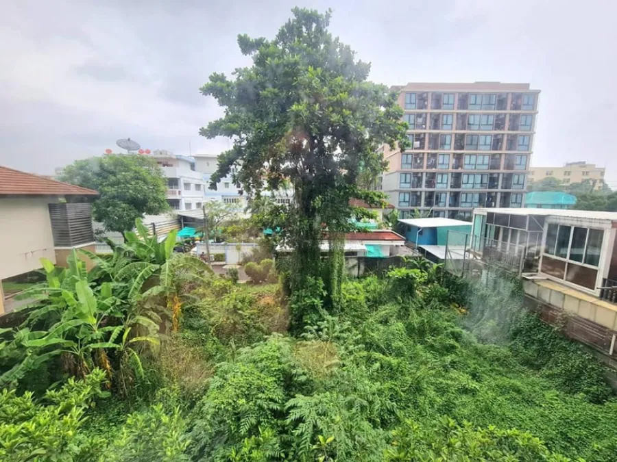 คอนโดให้เช่า Asher Suthisan Condo ห้องพร้อมอยู่ เฟอร์เครื่องใช้ไฟฟ้าครบครัน ต้องมาจับจองเลยห้ามพลาด