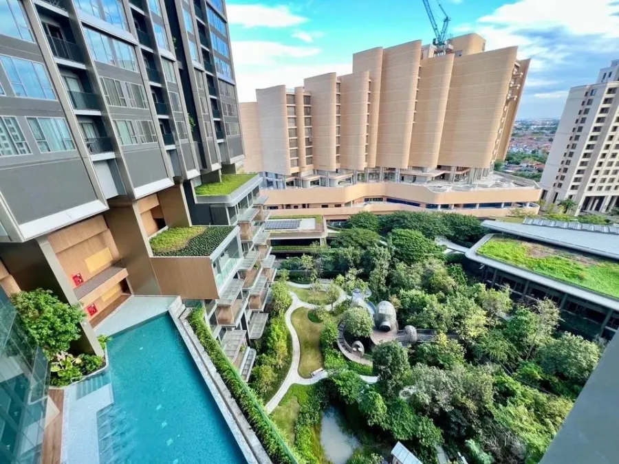 ขาย ให้เช่า Whizdom The Forestias ห้องดูเพล็กซ์ วิวสวนและสระว่ายน้ำ มีเครื่องใช้ไฟฟ้าครบชุด น่าจองสุดๆ