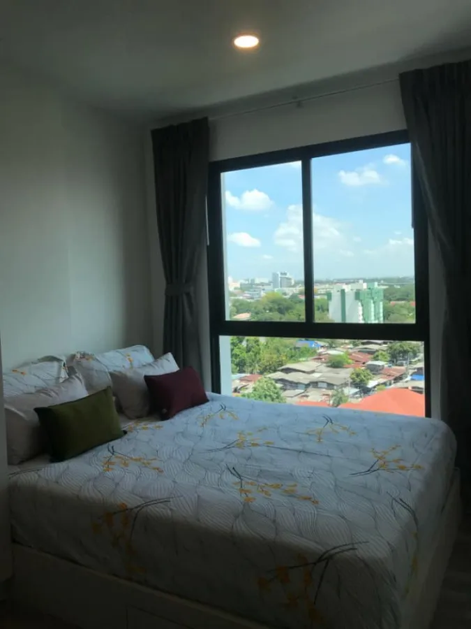 ให้เช่า เคนซิงตัน เกษตร แคมปัส ห้องสวยสะอาดมาก ภายในโล่งโปร่งสบาย เฟอร์อย่างดี หิ้วกระเป๋าเข้าอยู่