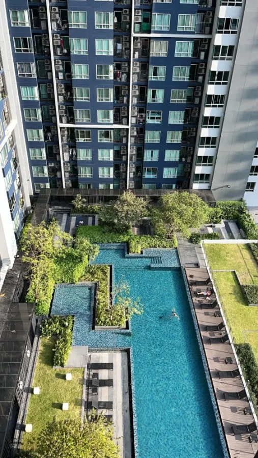 ขาย ให้เช่า คอนโด เดอะเบส สุขุมวิท 77 วิวสระน้ํา เฟอร์นิเจอร์ครบ พร้อมเครื่องใช้ไฟฟ้า