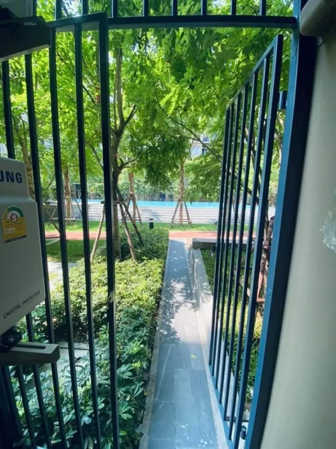 ให้เช่า Plum condo Alive 2 ชั้น 1 วิวสระว่ายน้ำ บรรยากาศดี เฟอร์ครบ พร้อมเข้าอยู่ ไม่จองไม่ได้แล้ว