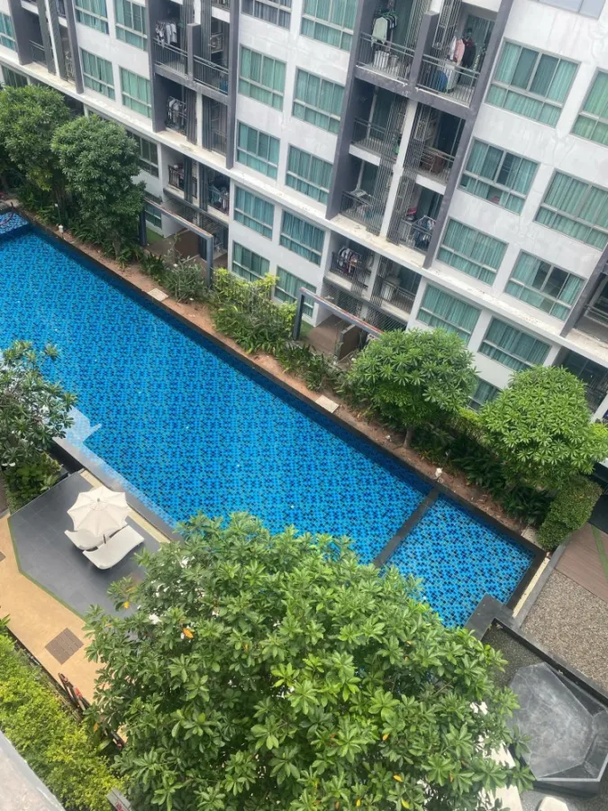 ให้เช่า เนทูเรซ่า อาร์ท พัทยาเหนือ (พัทยาเหนือ) วิวสระว่ายน้ำชิลมากเวอร์ แต่งฟังก์ชั่นครบ สนใจจองเลย