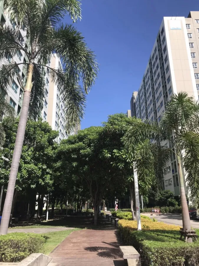 ขาย คอนโด ลุมพินี นวมินทร์ ศรีบูรพา ห้องอยู่ด้านวิวสวน เงียบสงบไม่มีเสียงรถรบกวน อย่ารอช้า !