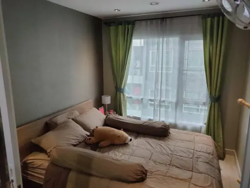 Condo for rent, Regent Home Sukhumvit 81, pool view. room ready Central, complete, don't miss it