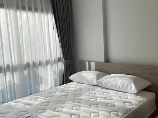 ให้เช่า Plum Condo Sukhumvit 97.1 ชั้น 3 ห้องน่าอยู่ มาพร้อมการตกแต่งที่ครบครัน จองเลย