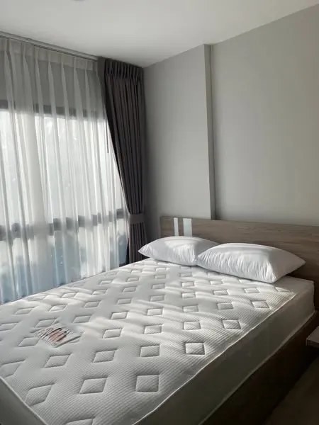 ให้เช่า Plum Condo Sukhumvit 97.1 ชั้น 3 ห้องน่าอยู่ มาพร้อมการตกแต่งที่ครบครัน จองเลย