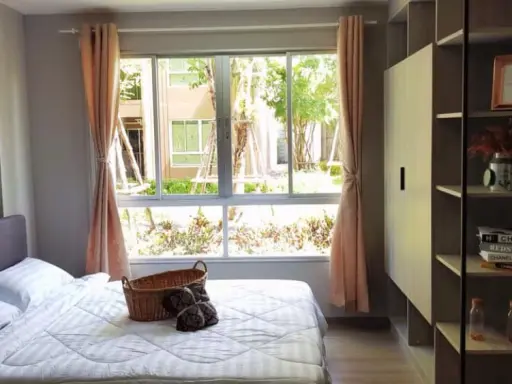 For rent D Condo Campus Kamphaeng Saen, don't hesitate, book now !!