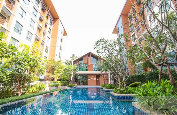 Urgent sale, the privacy condo, Ngamwongwan, 7th floor, pool view, very good weather, hurry to reserve the owner