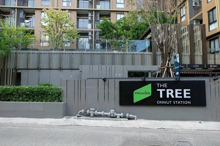 Condo for sale, The Tree On Nut Station, 1 bedroom, 1 bathroom, 4th floor, reserve first, own first.
