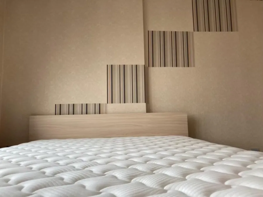 ขาย ให้เช่า คอนโด เอพพิโซด พหล-สะพานใหม่ 1 Bed Room Plus ใหญ่จุใจ แถมราคาดี อย่าพลาดเลย