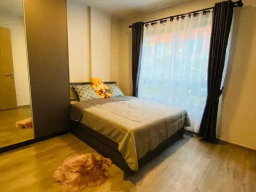 Rent Monte Rama 9, furniture, complete electrical appliances You can just come in and move in. Don't miss it. images