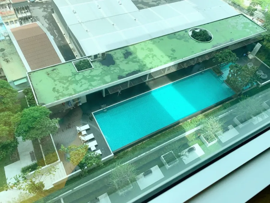 ให้เช่า คอนโด ดิ แอสปาย พระราม 4 วิวจากระเบียงห้องมองเห็นทั้งสวนและสระว่ายน้ำ จองเลย