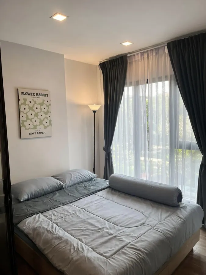 ให้เช่า Modiz Sukhumvit 50 ชั้น 2 ห้องแต่งครบ น่าอยู่ สนใจรีบจองเลย ห้ามพลาด