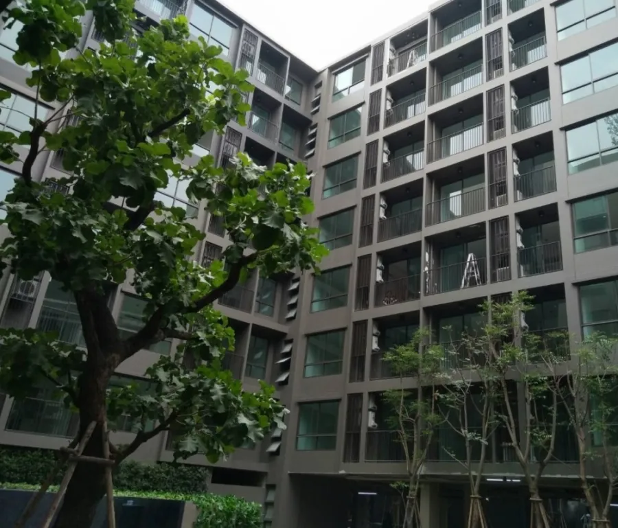 ขายด่วน!! คอนโด เดอะทรี สุขุมวิท 64 ห้องสวย ทำเลดี จัดเต็มเฟอร์นิเจอร์ รีบจองเลย!!