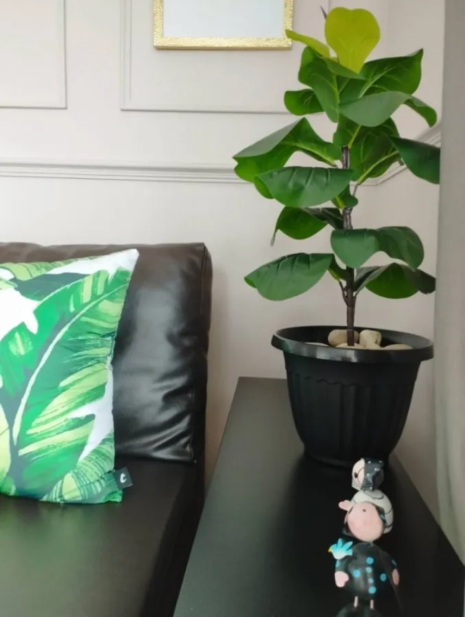 For Rent The Parkland Phetkasem ตกแต่งสวย วิวดี เฟอร์จัดเต็ม พร้อมอยู่ รีบๆเลยจ้า