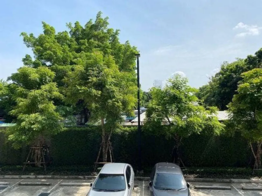 ขาย คอนโด เมโทร ลักซ์ โรสโกลด์ พหลฯ-สุทธิสารชั้น 2 เฟอร์+เครื่องใช้ไฟฟ้าครบ ห้องสวยมาก!!!