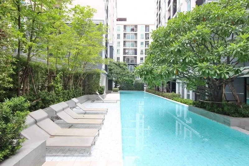 🌿🏢 For Sale & Rent: Plum Condo Mix Chaengwattana Station | Brand New Units, Pool Views, Walking Distance to BTS! 🏢🌿