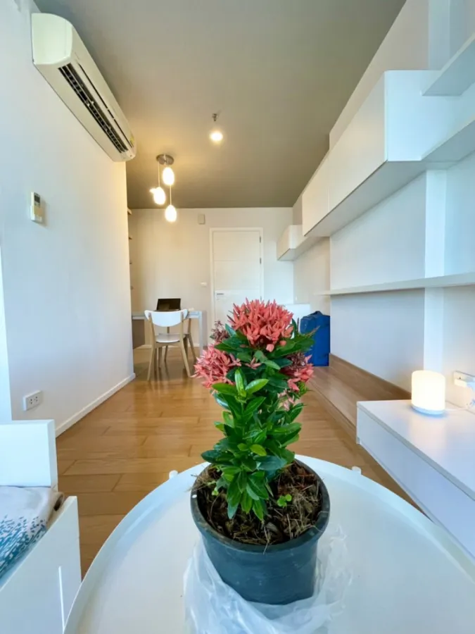 For rent urgently!! Condo Blocs 77, room no. 291/392, 24th floor, pool view Fully furnished, ready to move in. Don't miss it!!