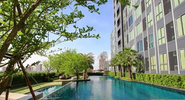 Condo for sale/rent: Ideo Mobi Sukhumvit Eastgate, 15th floor, swimming pool view, corner room, built-in furniture + electrical appliances + washing m