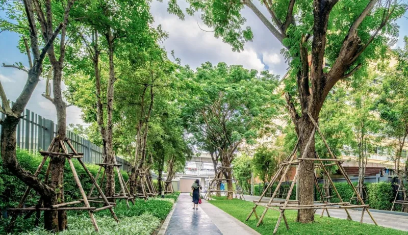 ให้เช่า แอสปาย รัตนาธิเบศร์ 2 ชั้น 24 ห้องสะอาด วิวสวย แต่งครบ หิ้วกระเป๋าเข้าอยู่ได้เลยจ้า จองเลย