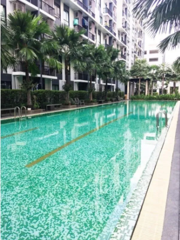 ให้เช่า ไอคอนโด สุขุมวิท 105 ห้องสวย เฟอร์นิเจอร์ครบ พร้อมอยู่ พลาดไม่ได้แล้ว!!!
