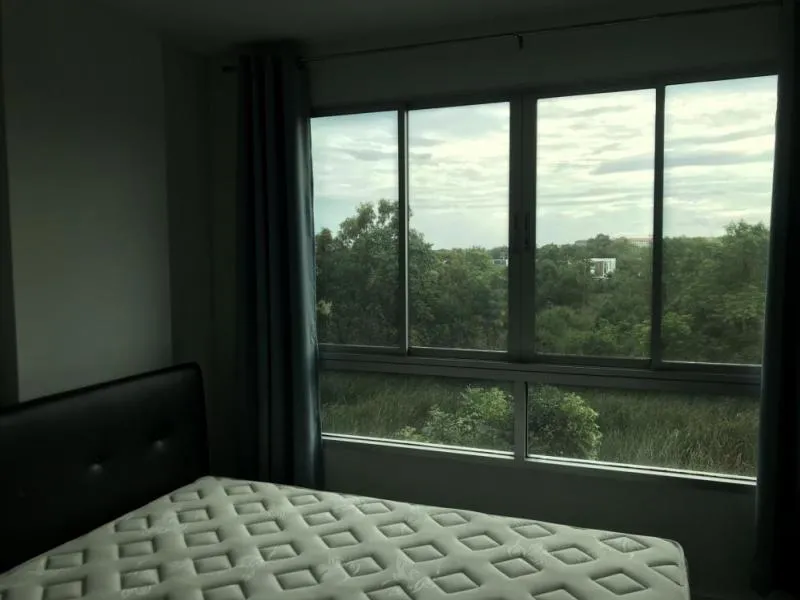 D Condo แคมปัส รีสอร์ท รังสิต อาคาร C ชั้น 4 วิวด้านนอก อากาศดี เงียบสงบ คุ้มราคา ด่วน