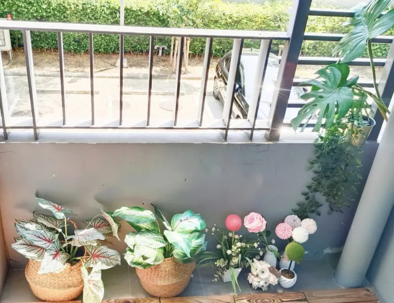 ขาย ให้เช่า เอลลิโอ เดล เรย์ ห้องตกแต่งอย่างดี มีสไตล์สุดๆ ราคาพิเศษ สนใจรีบจองด่วนๆเลยจ้า