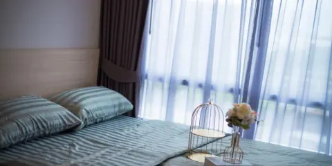 ขายหรือให้เช่า Plum Condo Rangsit Alive 2 ห้องมุม เป็นส่วนตัวมาก วิวดีเวอร์ ไม่จองพลาดสุดๆ