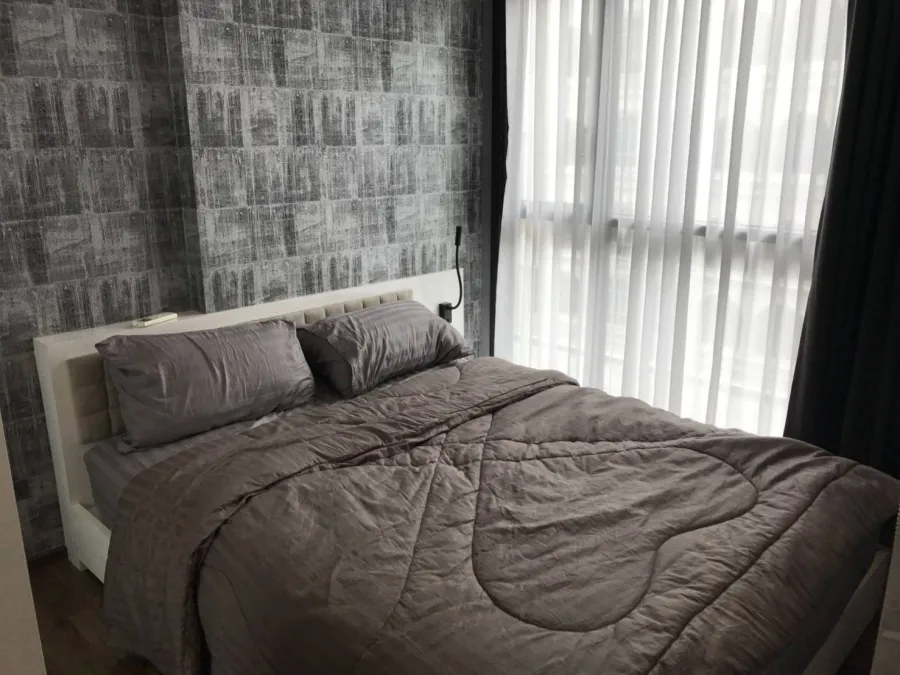 ปล่อยเช่า คอนโด Wyne สุขุมวิท (350m. BTS พระโขนง) 1Bed 30 sqm. ชั้น 6 (วิวสวน)