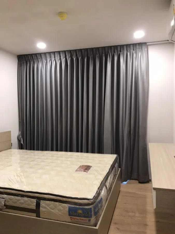 Cocoon Condo for rent, Rama 9, pool view, north view, new condition room, ready to move in