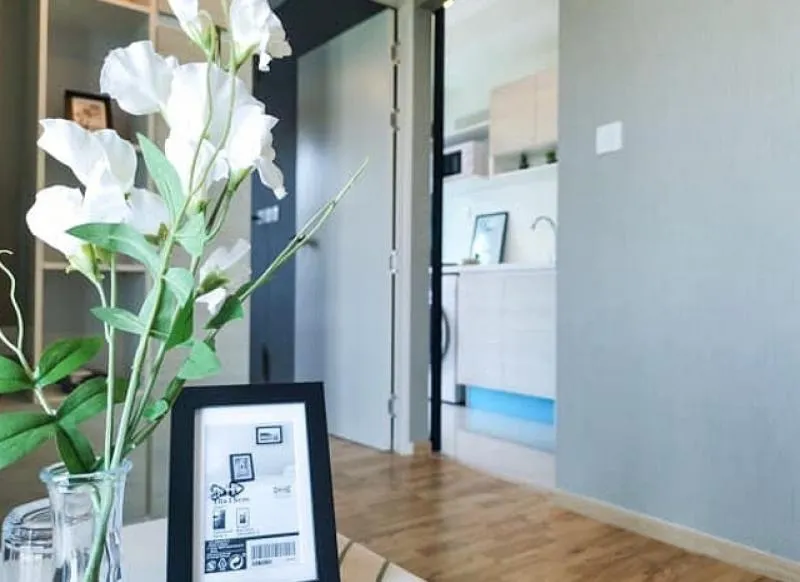 ให้เช่าคอนโด The Cabana condo ชั้น 8 วิวสวย บนสุด รีบจองได้เลยจ้า