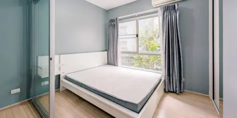 ให้เช่า Plum Condo Bangyai Station 1 ห้องนอน 1 ห้องน้ำ ทำเลดี สิ่งอำนวยความสะดวกครบครัน รีบจองเลยด่วนๆจ้า