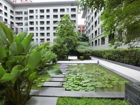 Good stuff!! For rent, The Seed Memories Siam, colorful room, cute, cheap price, everyone likes it, don't wait, you will miss it!!!