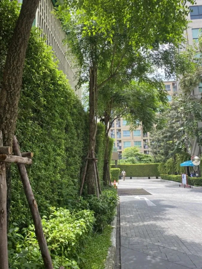 Urgent sale, Condo Lesto Sukhumvit 113, 6th floor, Building A, beautiful room, fully furnished, good price, hurry to book now