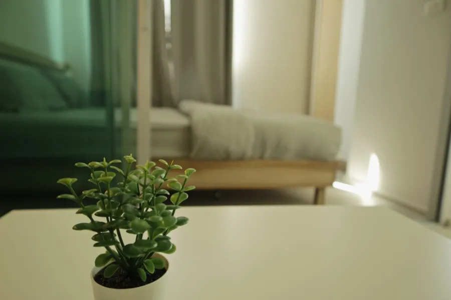 ให้เช่า Plum condo รามคำแหง 60 interchange ห้องน่าอยู่ โทนอบอุ่น มาในราคาสบายกระเป๋า คุณต้องรีบจอง