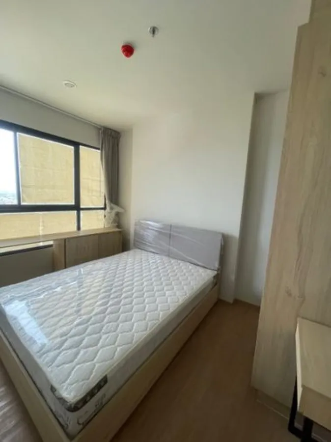 For rent Common TU ชั้นสูง วิวโล่งโปร่งสบาย สิ่งอำนวยความสะดวกครบครัน จองแล้วไม่ผิดหวังแน่นอนจ้า