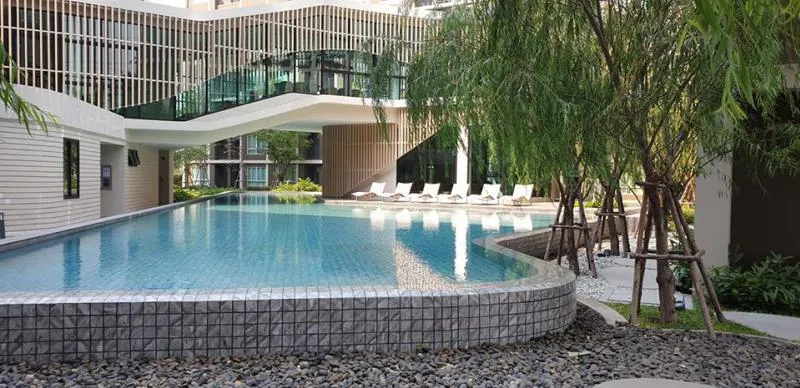 ให้เช่าห้องสวยๆ เฟส3 Dcondo Rangsit พื้นที่ 31ตรม. วิวหลังห้องโล่งๆ สบายส่วนตัวสุดๆ แนะนำห้องนี้เลยย