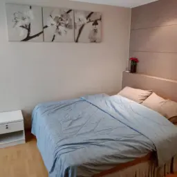 ขายคอนโด Serene Place Sukhumvit 24