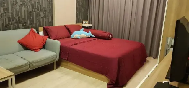 ขาย คอนโด เอลลิโอ สุขุมวิท 64 ชั้น 4 วิวสวน ห้องสตูดิโอ พร้อมอยู่ ราคากันเอง ห้ามพลาด!! images