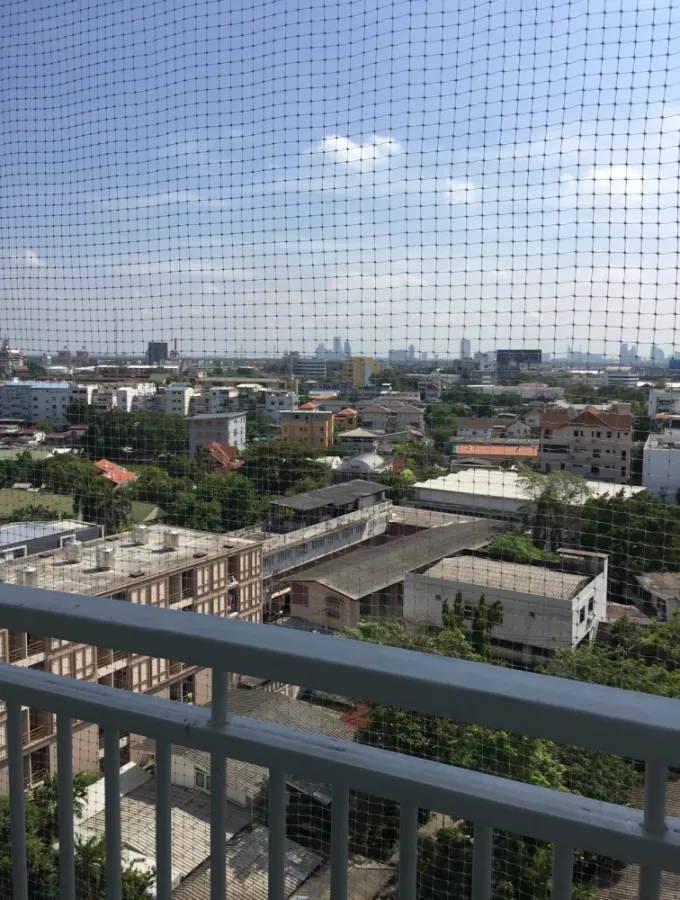 Condo for rent, Sukhumvit Plus, pool view New renovated room, ready to move in, don't miss it!!