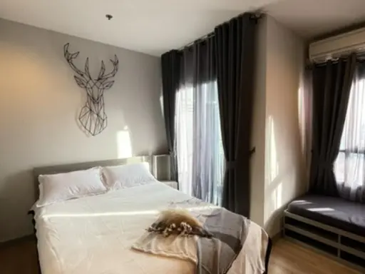 ให้เช่า แชปเตอร์วัน มิดทาวน์ ลาดพร้าว 24 ห้องสวยมากก ตกแต่งรียบหรูสุดๆ ราคานีคุ้มแน่นอน จองเลย