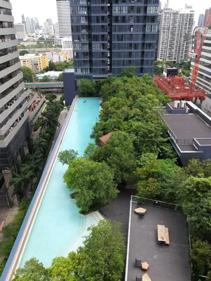 ปล่อยเช่า One9Five Asoke Rama9 ชั้น 14 วิวสระว่ายน้ำ มาพร้อมสิ่งอำนวยความสะดวกครบ จองเลย