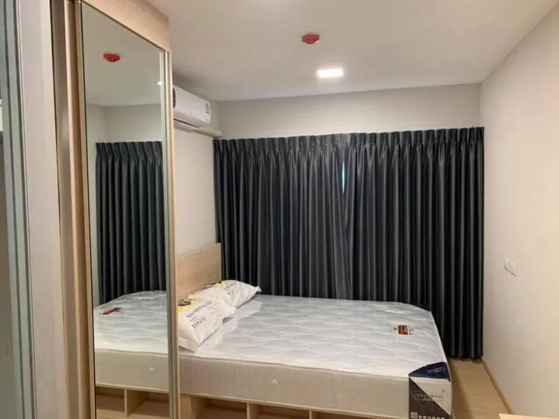 ปล่อยเช่า Plum condo Rangsit alive1 ใกล้ ม.กรุงเทพ วิวสระว่ายน้ำ ชั้นสูงกำลังดี ร่มรื่น ไม่ร้อน ด่วน
