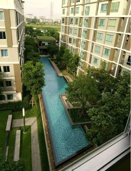 D Condo Campus Rangsit เฟส2 อาคาร B ชั้น 6 วิวสระว่ายน้ำ ห้องสวย พร้อมอยู่ ราคาสุดคุ้ม ขาย ด่วน