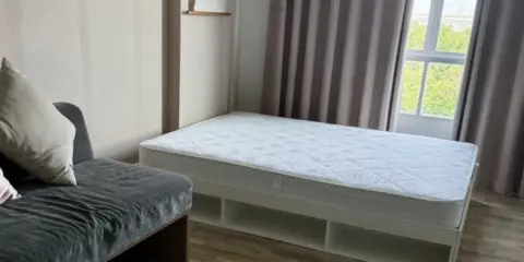 ให้เช่า dcondo Campus Resort Rangsit 2 ชั้น 6 ห้องแต่งครบ น่าอยู่ จองเลย ห้ามพลาด