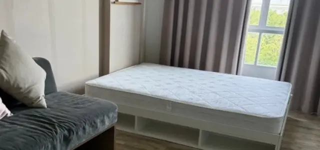 ให้เช่า dcondo Campus Resort Rangsit 2 ชั้น 6 ห้องแต่งครบ น่าอยู่ จองเลย ห้ามพลาด images