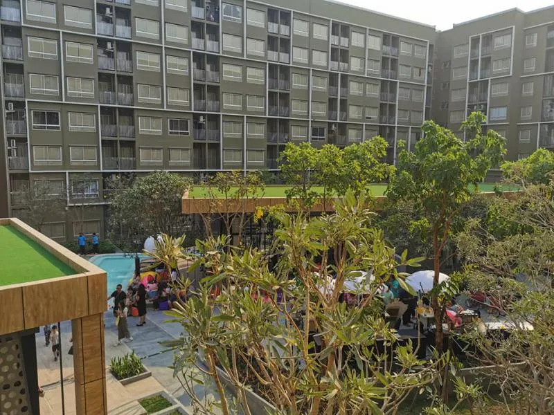 ห้องวิวสระ plum condo Alive รังสิต ม.กรุงเทพ ตึก A ชั้น 3 พร้อมอยู่ทันที ครบทุกสิ่งอย่าง