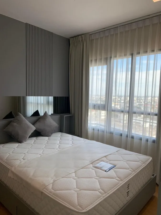 ให้เช่า แชปเตอร์วัน มิดทาวน์ ลาดพร้าว 24 ชั้นสูง วิวสวย บิ้วอินอย่างดี น่าอยู่มากๆ จองเลย ห้ามพลาด