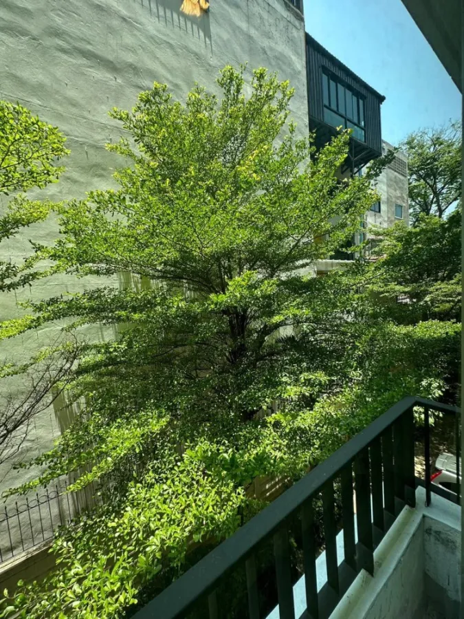 Condo for sale, The Seed Terre, nice, complete facilities, hurry up and book now.