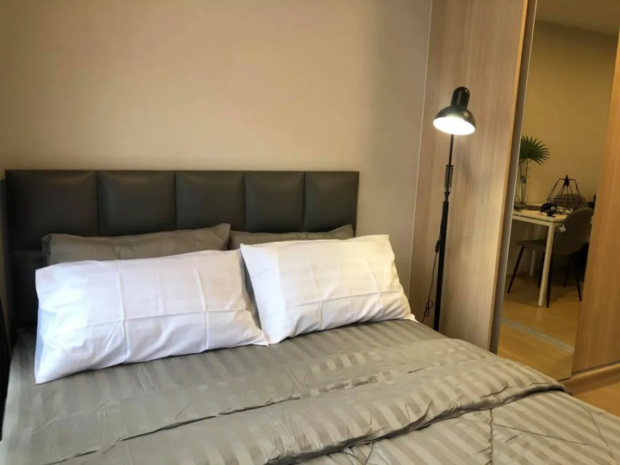 For rent Plum Condo Rangsit Alive 1 room very well decorated. Heaven of relaxation miss and regret instead